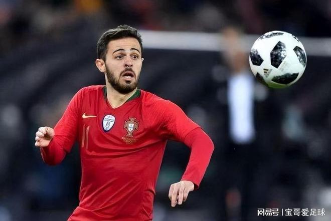 了观赏性 了观赏性