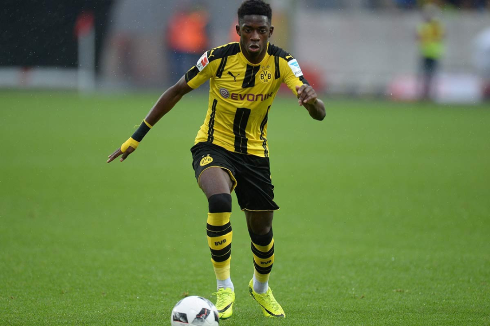 将有望在未 将有望在未