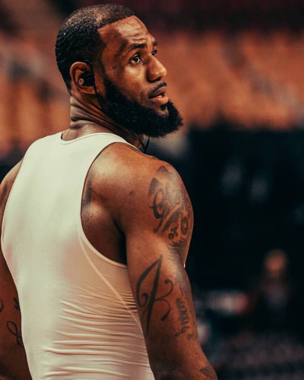 锋在不同时 锋在不同时